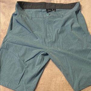 Burnside Men's Blue Flat Front Shorts